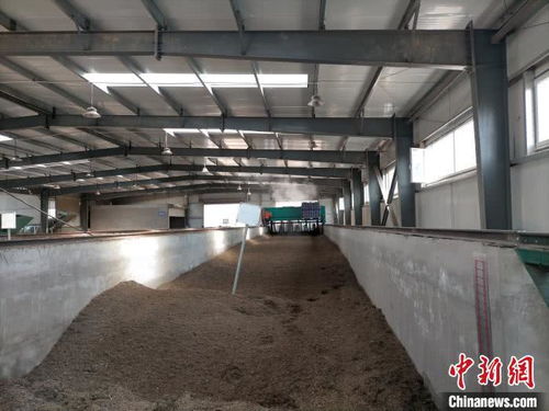 山西太原 園林垃圾資源化再利用，綠廢“變身”科創產品